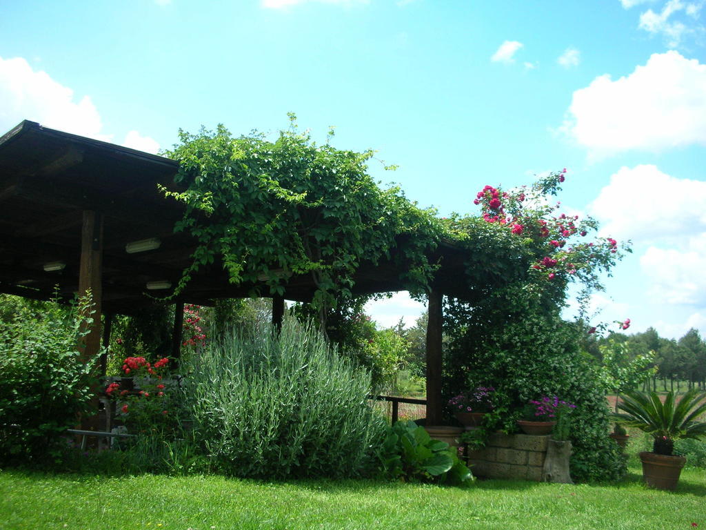 Podere Le Chiuse Sovana Dış mekan fotoğraf