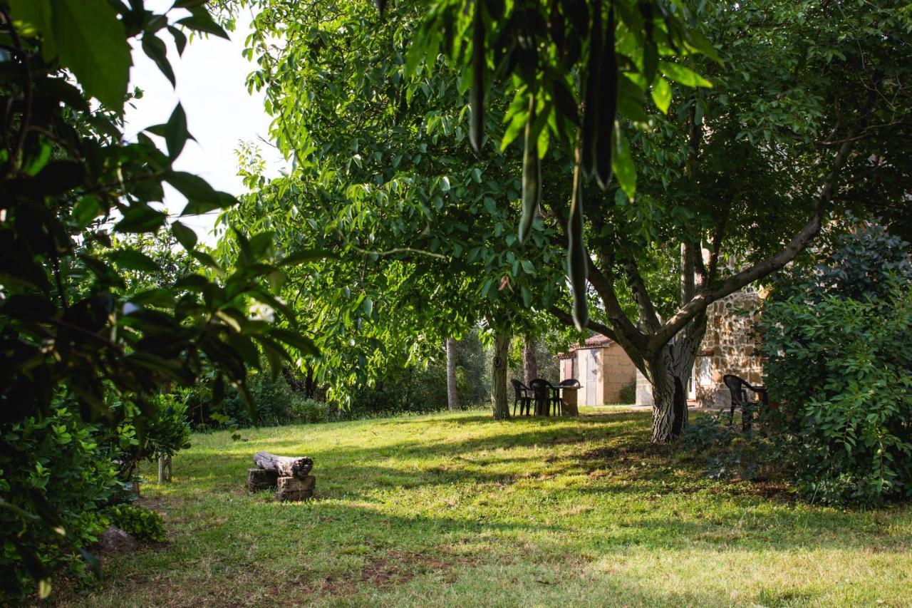 Podere Le Chiuse Sovana Dış mekan fotoğraf